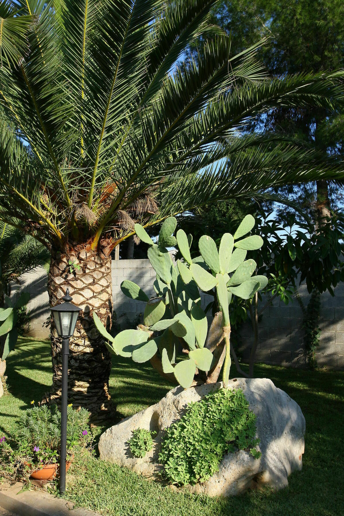 Lecce Guesthouse Dış mekan fotoğraf