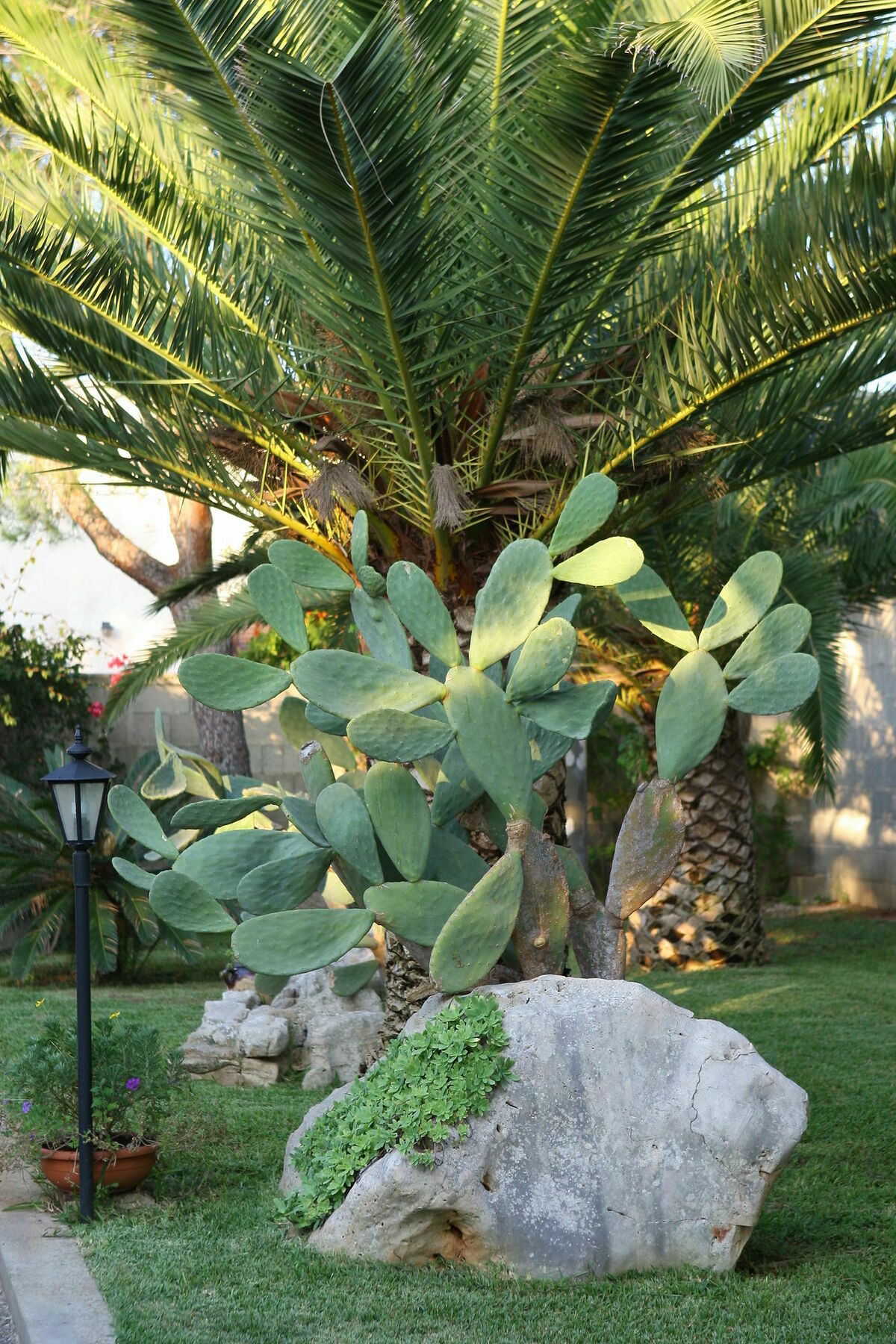 Lecce Guesthouse Dış mekan fotoğraf