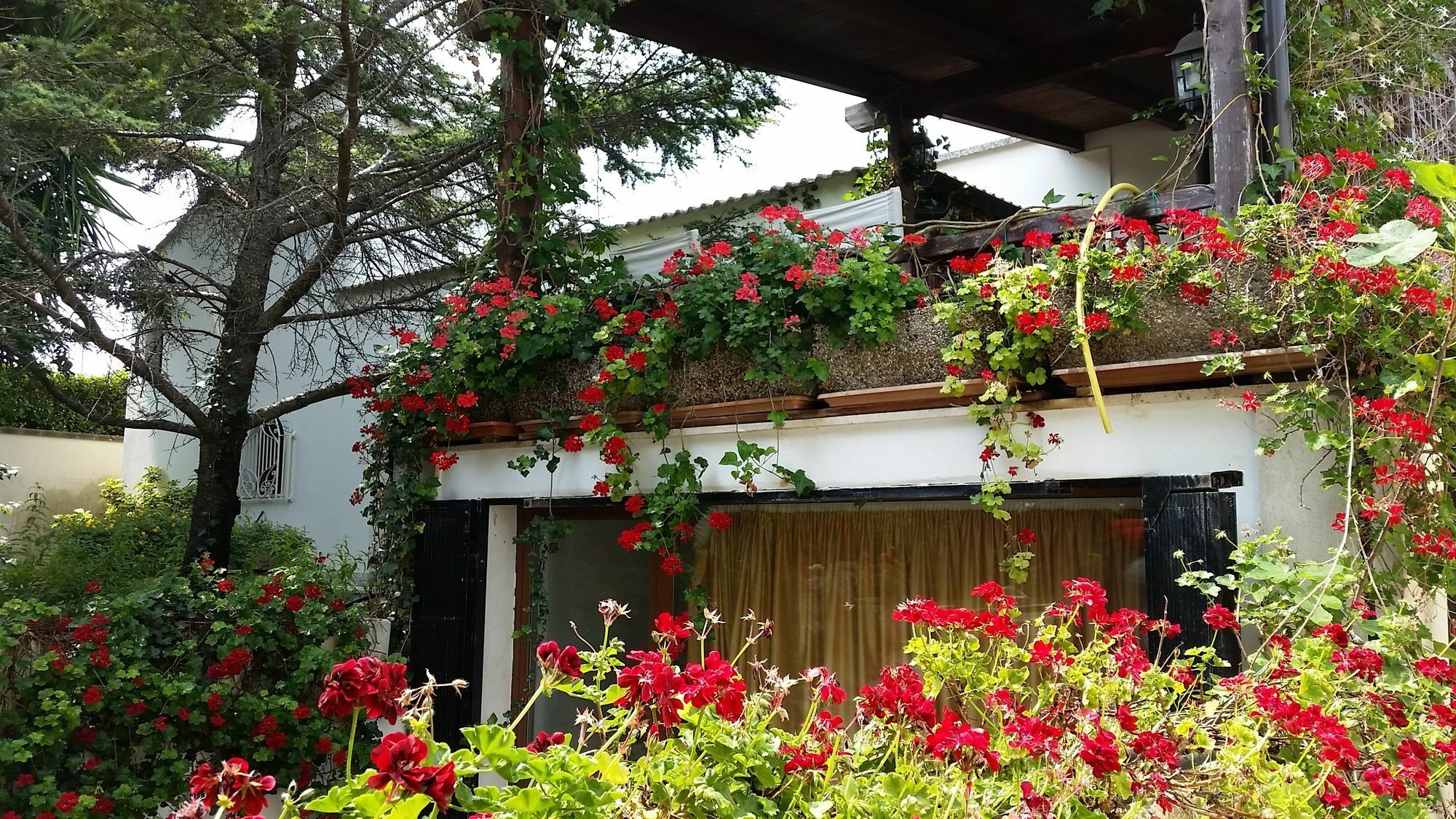 Lecce Guesthouse Dış mekan fotoğraf